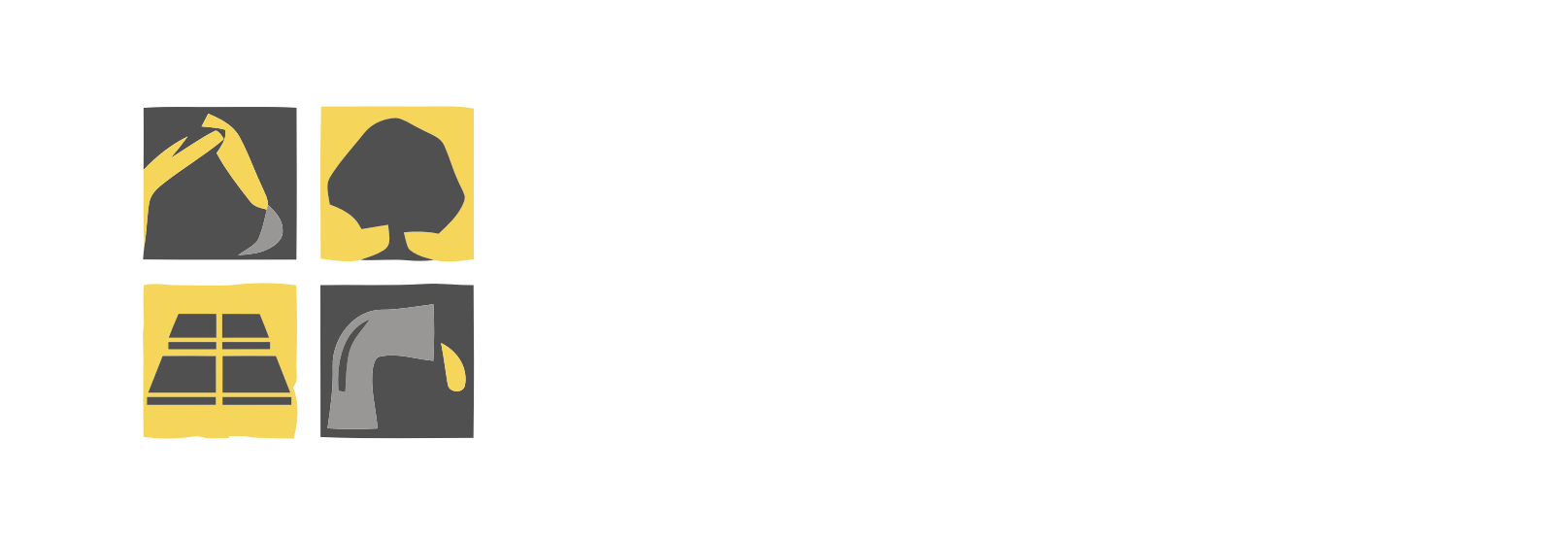 Jeroen van Steenis